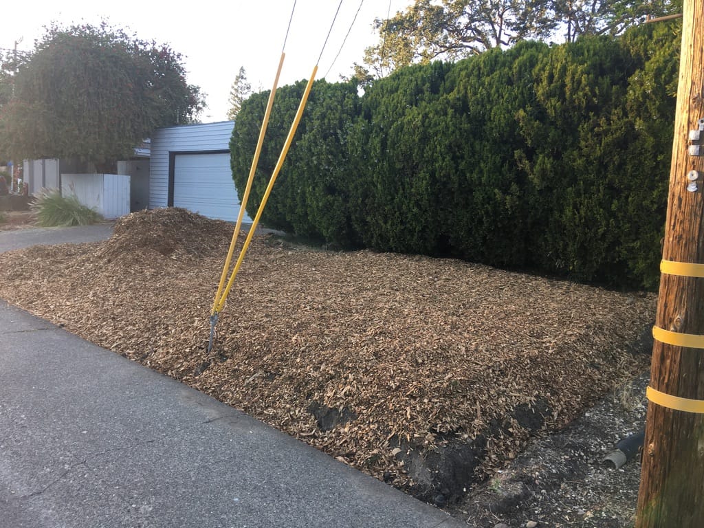 Fully sheet mulched former lawn